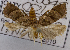  ( - USNM ENT 00739564)  @12 [ ] Unspecified (default): All Rights Reserved  Unspecified Unspecified