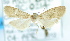  ( - USNM ENT 00739654)  @12 [ ] Unspecified (default): All Rights Reserved  Unspecified Unspecified