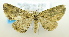  ( - USNM ENT 00792207)  @13 [ ] Unspecified (default): All Rights Reserved  Unspecified Unspecified