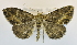 ( - USNM ENT 00792513)  @13 [ ] Unspecified (default): All Rights Reserved  Unspecified Unspecified
