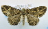  ( - USNM ENT 00792654)  @13 [ ] Unspecified (default): All Rights Reserved  Unspecified Unspecified