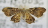  ( - USNM ENT 00792865)  @12 [ ] Unspecified (default): All Rights Reserved  Unspecified Unspecified