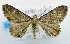  ( - USNM ENT 00792920)  @13 [ ] Unspecified (default): All Rights Reserved  Unspecified Unspecified