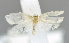  ( - USNM ENT 00792945)  @12 [ ] Unspecified (default): All Rights Reserved  Unspecified Unspecified