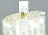  ( - USNM ENT 00792953)  @12 [ ] Unspecified (default): All Rights Reserved  Unspecified Unspecified