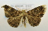  ( - USNM ENT 00792973)  @13 [ ] Unspecified (default): All Rights Reserved  Unspecified Unspecified