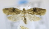  ( - USNM ENT 00795371)  @12 [ ] Unspecified (default): All Rights Reserved  Unspecified Unspecified