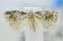  ( - USNM ENT 00795373)  @12 [ ] Unspecified (default): All Rights Reserved  Unspecified Unspecified