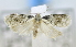  ( - USNM ENT 00795374)  @12 [ ] Unspecified (default): All Rights Reserved  Unspecified Unspecified