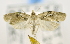 ( - USNM ENT 00795381)  @12 [ ] Unspecified (default): All Rights Reserved  Unspecified Unspecified