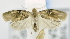  ( - USNM ENT 00795382)  @12 [ ] Unspecified (default): All Rights Reserved  Unspecified Unspecified
