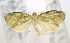  ( - USNM ENT 00795405)  @12 [ ] Unspecified (default): All Rights Reserved  Unspecified Unspecified