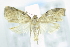  ( - USNM ENT 00795429)  @12 [ ] Unspecified (default): All Rights Reserved  Unspecified Unspecified