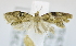  ( - USNM ENT 00795431)  @12 [ ] Unspecified (default): All Rights Reserved  Unspecified Unspecified
