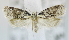  ( - USNM ENT 00795456)  @13 [ ] Unspecified (default): All Rights Reserved  Unspecified Unspecified