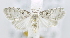  ( - USNM ENT 00795493)  @12 [ ] Unspecified (default): All Rights Reserved  Unspecified Unspecified