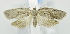  ( - USNM ENT 00795494)  @14 [ ] Unspecified (default): All Rights Reserved  Unspecified Unspecified