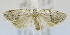  ( - USNM ENT 00795502)  @13 [ ] Unspecified (default): All Rights Reserved  Unspecified Unspecified