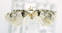  ( - USNM ENT 00795505)  @12 [ ] Unspecified (default): All Rights Reserved  Unspecified Unspecified