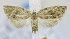  ( - USNM ENT 00795511)  @13 [ ] Unspecified (default): All Rights Reserved  Unspecified Unspecified