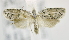  ( - USNM ENT 00795512)  @12 [ ] Unspecified (default): All Rights Reserved  Unspecified Unspecified