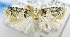  ( - USNM ENT 00795616)  @12 [ ] Unspecified (default): All Rights Reserved  Unspecified Unspecified
