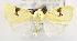  ( - USNM ENT 00795626)  @14 [ ] Unspecified (default): All Rights Reserved  Unspecified Unspecified