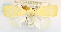  ( - USNM ENT 00795640)  @13 [ ] Unspecified (default): All Rights Reserved  Unspecified Unspecified