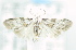  ( - USNM ENT 00795880)  @12 [ ] Unspecified (default): All Rights Reserved  Unspecified Unspecified
