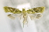  ( - USNM ENT 00795929)  @12 [ ] Unspecified (default): All Rights Reserved  Unspecified Unspecified