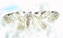  ( - USNM ENT 00795961)  @12 [ ] Unspecified (default): All Rights Reserved  Unspecified Unspecified
