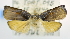  ( - USNM ENT 00795971)  @13 [ ] Unspecified (default): All Rights Reserved  Unspecified Unspecified