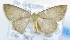  ( - USNM ENT 00726001)  @13 [ ] Unspecified (default): All Rights Reserved  Unspecified Unspecified