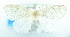  ( - USNM ENT 00800707)  @12 [ ] Unspecified (default): All Rights Reserved  Unspecified Unspecified