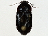  ( - BIOUG91369-B01)  @11 [ ] CreativeCommons - Attribution (2022) CBG Photography Group Centre for Biodiversity Genomics