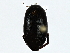  ( - BIOUG91369-D04)  @11 [ ] CreativeCommons - Attribution (2022) CBG Photography Group Centre for Biodiversity Genomics