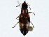  ( - BIOUG91369-E08)  @11 [ ] CreativeCommons - Attribution (2022) CBG Photography Group Centre for Biodiversity Genomics