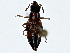  ( - BIOUG91369-E10)  @11 [ ] CreativeCommons - Attribution (2022) CBG Photography Group Centre for Biodiversity Genomics