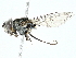  ( - BIOUG97716-C03)  @11 [ ] CreativeCommons - Attribution (2022) CBG Photography Group Centre for Biodiversity Genomics
