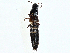  ( - BIOUG97718-B03)  @11 [ ] CreativeCommons - Attribution (2023) CBG Photography Group Centre for Biodiversity Genomics