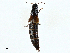  ( - BIOUG97718-B04)  @11 [ ] CreativeCommons - Attribution (2023) CBG Photography Group Centre for Biodiversity Genomics