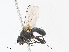  ( - CBG-A08779-C12)  @11 [ ] CreativeCommons - Attribution Share - Alike (2023) CBG Photography Group Centre for Biodiversity Genomics