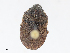  ( - CBG-A08779-F12)  @11 [ ] CreativeCommons - Attribution Share - Alike (2023) CBG Photography Group Centre for Biodiversity Genomics
