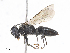  ( - CBG-A08779-H04)  @11 [ ] CreativeCommons - Attribution Share - Alike (2023) CBG Photography Group Centre for Biodiversity Genomics