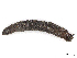  ( - CBG-A10837-B05)  @11 [ ] CreativeCommons - Attribution Share - Alike (2023) CBG Photography Group Centre for Biodiversity Genomics