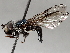  ( - BIOUG56882-E09)  @11 [ ] CreativeCommons - Attribution (2021) CBG Photography Group Centre for Biodiversity Genomics