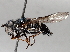  ( - BIOUG56882-F09)  @11 [ ] CreativeCommons - Attribution (2021) CBG Photography Group Centre for Biodiversity Genomics