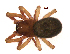  ( - BIOUG55284-A01)  @11 [ ] CreativeCommons - Attribution (2021) Unspecified Centre for Biodiversity Genomics