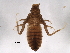  ( - 160960819-E1-4-Dromogomphus spinosus)  @11 [ ] CreativeCommons - Attribution  CBG Photography Group Unspecified