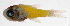  ( - L650-011)  @11 [ ] CreativeCommons Attribution ShareAlike (2024) Institut de Recherche pour le Développement Institut de Recherche pour le Développement